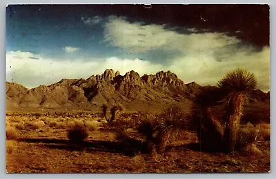 Organ Mountains Las Cruces New Mexico Postcard • $5