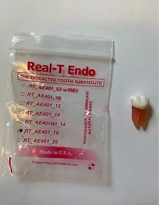 Acadental #19 Real T Endo - Acadental Teeth - Extracted Tooth Substitute • $15