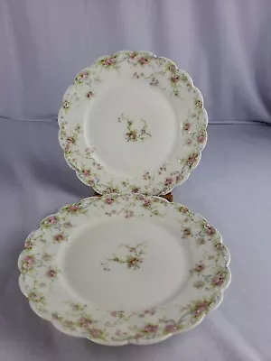 2 T. Haviland Limoges  Schleiger 142 8.5  Salad Plates Pink Flowers Blue Ribbon • $25