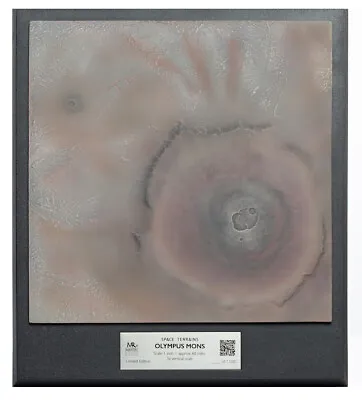 Mars' Olympus Mons Volcano 3D  Topographical 12.5  Model From NASA Data • $19.95