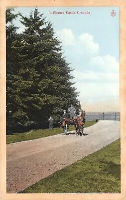 In Shanes Castle Grounds Antrim N. Ireland Postcard Horse Cart Men • £4.06