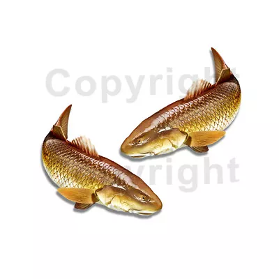 Redfish Sticker Decal Fishing RV Boat Car Truck Camper Trailer F054 2 Pack • $3.99