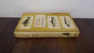 			The Abc Of Fishing Colin Willock Andre Deutsch 1964 Hardcover		 • £6.29