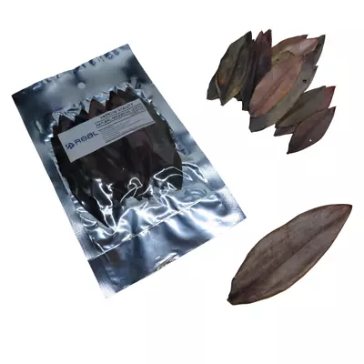 Natural Mangrove Leaves X20 Leaf For Tropical Freshwater Shrimp Aquariums Tanks • £6.99