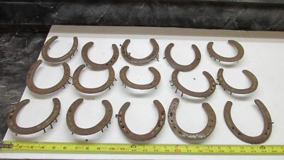 $32.99 • Buy 15 Old +  Good Luck Rusty  Kansas Farm Horse Shoe Lot A