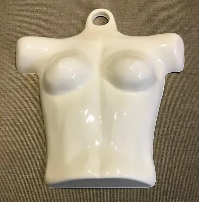 Plastic Female Mannequin Form Body Dress Torso Display Woman T-Shirt • $9.99