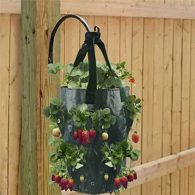 Strawberry Planting Growing Bag Wall Hanging Pocket Flowers Plant Garden Planter • £4.99