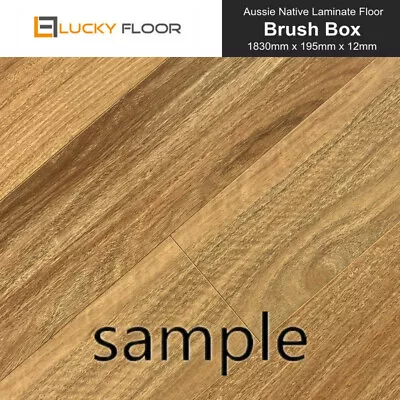 12mm Matt AC4 Brush Box Sample Laminate Flooring Floating Floor Timber Floors • $1