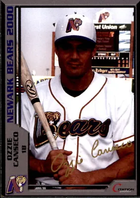 2000 Newark Bears Citation Graphics #9 Ozzie Canseco Havana Cuba Baseball Card • $50