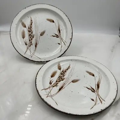 VTG Midwinter Stonehenge Wild Oats Dinner Plate Vintage Stoneware England Set 2 • $39.95