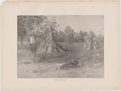 Original Antique Henry S. Watson Quail Shooting Print • $14.99