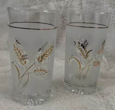 Vintage DeValBor Italian WindRose Frosted Wheat Highball Glasses Set Of 2 • $19.59