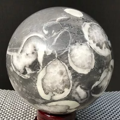 $0.99 • Buy 3430G Natural Zebra Stone Jasper Crystal Ball Healing Spirit Balloon LJ227