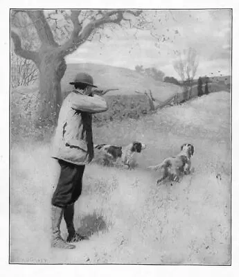 Hunting By A. B. Frost On The Wing Dogs Pointer Hunt • $65