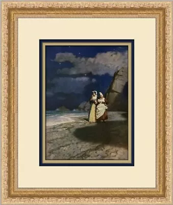 N.C. Wyeth Rose Salterne And The White Witch Custom Framed Print • $75