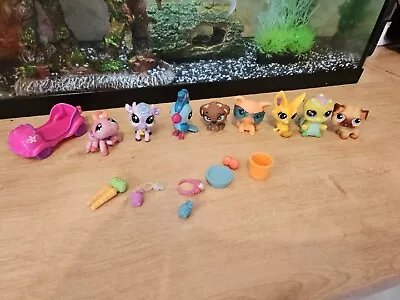 Lps Bundle Littlest Pet Shop • £10