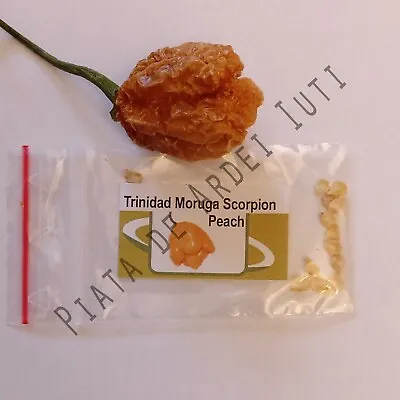 Trinidad Moruga Scorpion Peach Hot Pepper/Quality Seeds Bonus For Every Purchase • $3