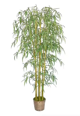 $189 • Buy Silk Artificial Bamboo Tree In Basket