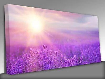 Sunset Over A Violet Lavender Field Panoramic Canvas Wall Art Picture Print • £39