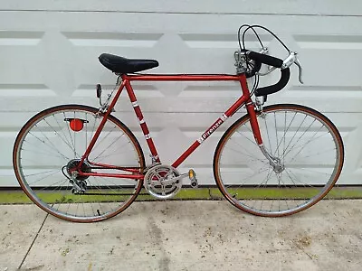 Firenze 12-Speed Deluxe 23 Inch 58 Cm Road Bicycle   • $199.99