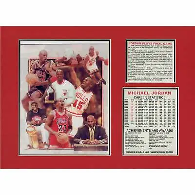 Michael Jordan Retires Chicago Bulls Tribute • $17.95