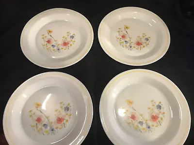 10  Vintage Arcopal Dinner Plates Lot Of 4 • $12
