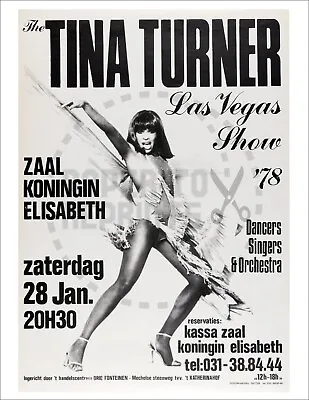 The Tina Turner Las Vegas Show Belgium Concert Poster - Vintage Reprint • $19.95