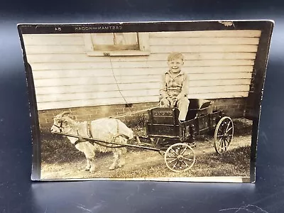 Vtg. Photograph Boy On Goat Cart Lansing Cart Wagon 1929 • $18