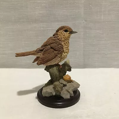 Country Artists Thrush Bird Figurine Signed MA Hand Crafted & Painted In 1993 • £15