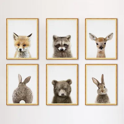 Cute Animals Pictures Canvas Printing Art Poster Wall Decor Ornament Gift • $6.88