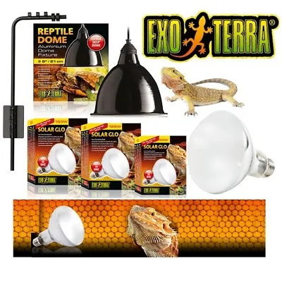 Exo Terra Solar Glo Bulb Mercury Vapour Heat Dome Lamp Holder Bracket UV UVB UVB • £21.45