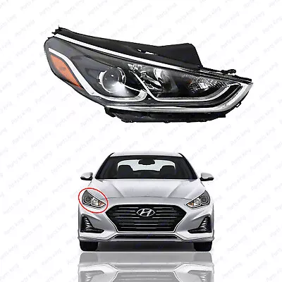 For 2018 2019 Hyundai Sonata Passenger Halogen Headlight Assembly Passenger Side • $119.95