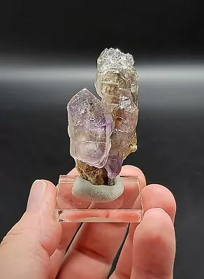 Smoky Amethyst Scepter On Matrix - Little Gem Mine Jefferson Co. Montana • $75