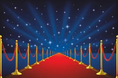 Red Carpet Backdrop Background Hollywood Star Red Photo Studio Props Party  • £16.79