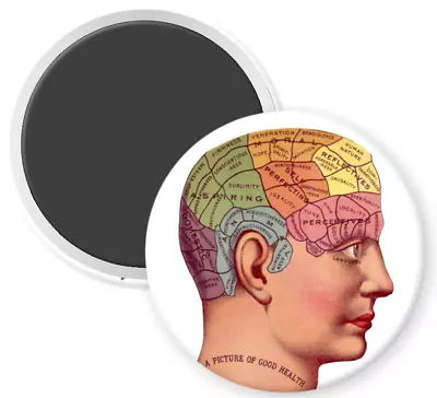 Picture Of Good Health Phrenology Vintage Image 3.5  Round Fridge Magnet • $5