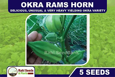 Okra Rams Horn - Delicious Unusual & Very Heavy Yielding Okra Variety - 5 Seeds • $4.25