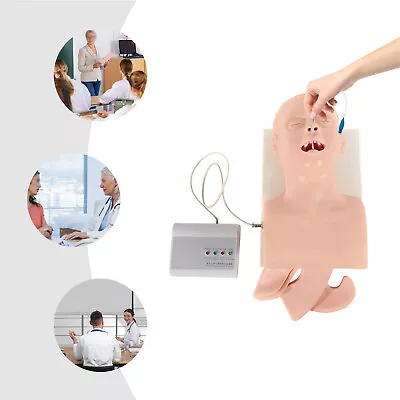 $205.86 • Buy HOT Teaching Model Airway Management Trainer Intubation Manikin Study Oral Nasal