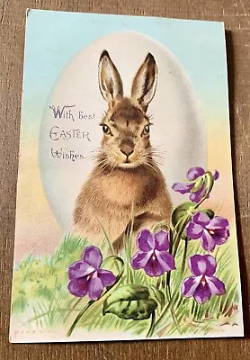 Vintage  Easter Postcard - Brown Rabbit  Egg  Violets • $5