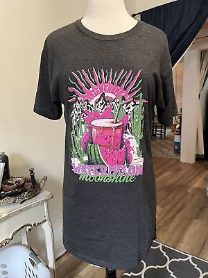 Watermelon Moonshine T-Shirt Dress- Size Small • $15