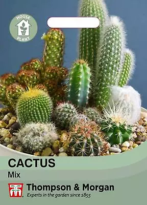 Thompson & Morgan House Plant - Cactus Mix - 20 Seeds • £2.49