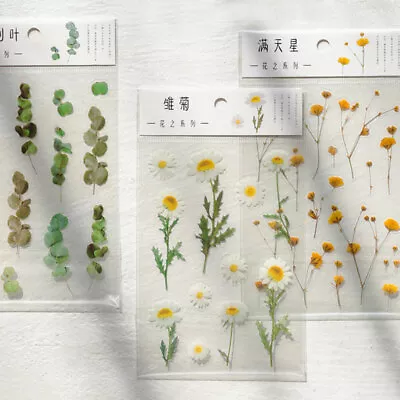 $1.86 • Buy New 1Pack Floral Plants Transparent Sticker Washi Tape DIY Scrapbooking 12Colors