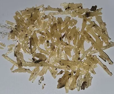 Conifer Pine Tree Dried Resin Tree Sap 10gm Wicca Pagan Witch Spell Craft Magic • $6.99