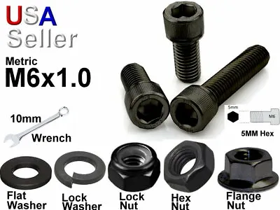 Metric M6 X 1.0 Black Oxide Allen Hex Head Socket Cap Screw Bolt Washer Nut • $6.99