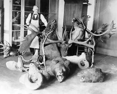 Taxidermist With Bear Deer Moose Heads 8x10 Reprint Of Old Photo • $25