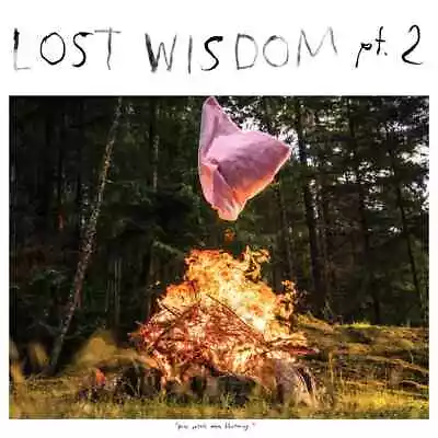 Mount Eerie |  CD | Lost Wisdom Pt. 2  | The Business • $18.94