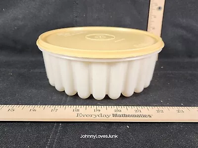 Vintage Family Products Jello Mold Plastic Container W/ Lid New  • $20