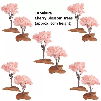 10 Miniature Cherry Blossom Trees Sakura. Bark Base Japanese Zen Garden • £9.99