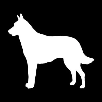 Belgian Malinois Dog Vinyl Car Decal Wall Laptop Sticker Window Bumper • $2