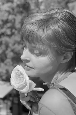 Austrian Actress Nadja Tiller Holding Flower 19th Venice Internati- Old Photo • $5.79