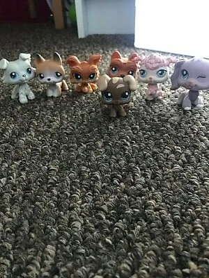 £13 • Buy Littlest Pet Shop LPS  Dog Selection Kids Toy Common And RARE Collie And Spaniel